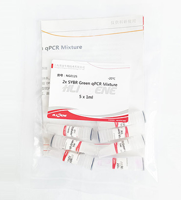 2 X SYBR Green qPCR Mixture