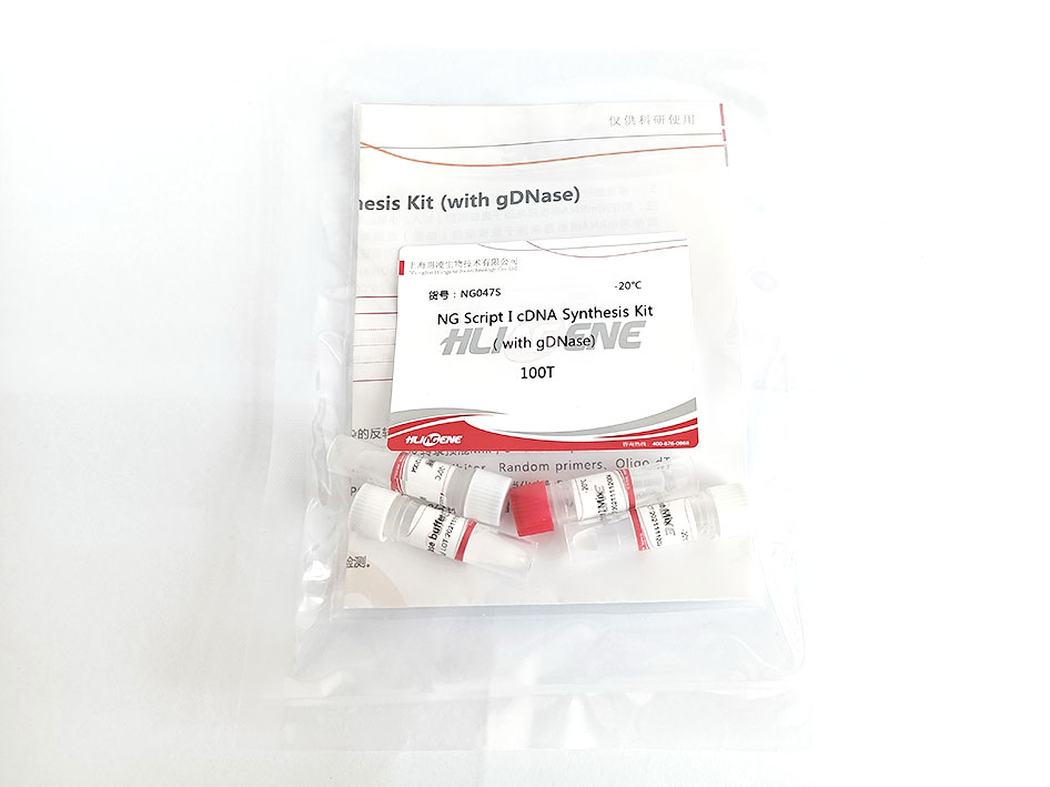 NG Script I cDNA Synthesis Kit(with gDNA